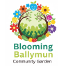 Better Ballymun