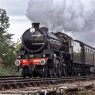 Thompson B1 Locomotive Trust