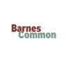 Barnes Common Limited