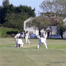 Netteswell & Burnt Mill Cricket Club