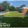 Tattenhall Park Primary