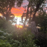 Lovaine Community Garden