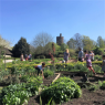 Friends of Park Hill Park & Recreation Ground