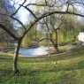 Friends of Telegraph Hill Park