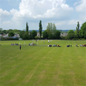 Ammanford Cricket Club