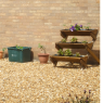 Lache Garden Group