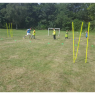 Harlesden Chasers Football Club