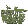 Ealing Wildlife Group