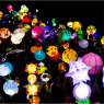 Friends of Stanningley Park