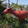 Frends of Wistaston Green Allotments Community