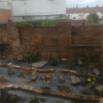 Taunton urban farming project 