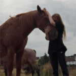 kent equine facilitated learning CIC