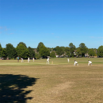 Lindfield Cricket Club