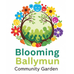 Better Ballymun