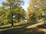 Friends of Maryon and Maryon Wilson Parks