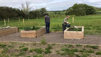 Improving the Touchbase Community Garden