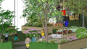 Mill Hill East Community Garden