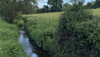 Laugharne river water quality monitoring