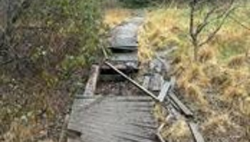 Restore the Parc Llewelyn Boardwalk