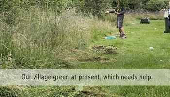 To create wildflower & wildlife areas