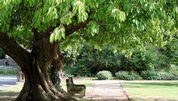 Whittington Remembers