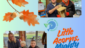 Little Acorns, Mighty Oaks
