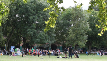 Party In The Park