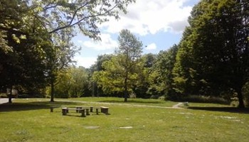 Big Community Clean Up @ Manor Park 12/3