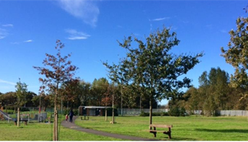 Ainsdale Park- the Picnic Bench Effect