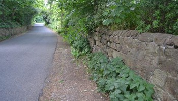 Transform our village lanes and walls 