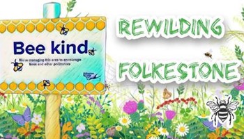 Rewilding Folkestone Community Project