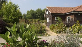 The Therapy Garden Workshop Quest!