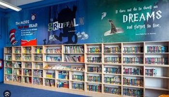 Creating a new library at Hailey School 
