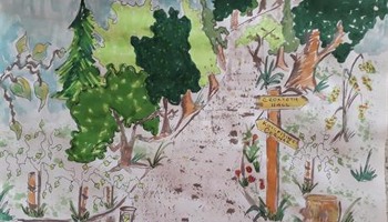 Restoring Pathways in Croxteth Park