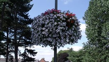 Improve appearance of our Hadleigh Essex