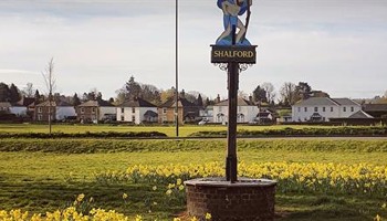 Shalford Platinum Picnic