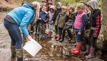 Turning the Tide: reconnect with nature 