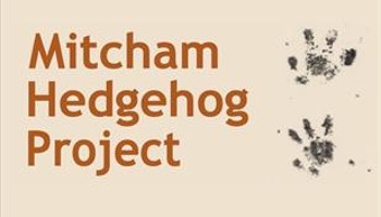 Help the Hedgehogs in Mitcham