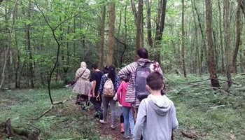 Discover Crawley Together