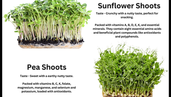 Greening Our Community