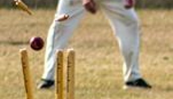 Cricket in Somerleyton