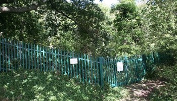 Re-Open Wood Lane Quarry