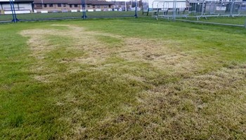 Help save cricket in Rotherham