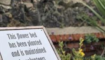 Community Garden for Wellbeing & Skills