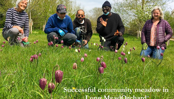 Creating Orchards for People and Wildlife