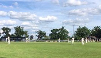 The Great Walsham Cricket Return!