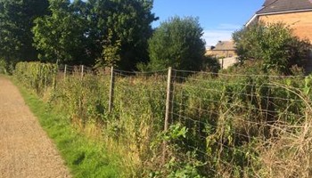 TYS2 Piggeries Orchard