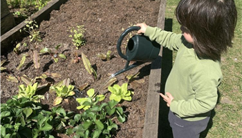 Revive South Park Heritage Market Garden
