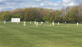 Help Sheffield United Cricket Club !