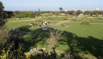 Sustainable public art for Sunken Garden